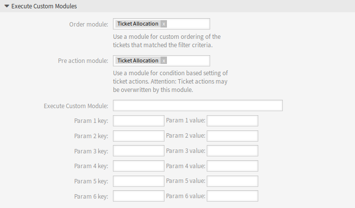 Execute Custom Modules Section